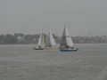 IMG 4831