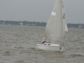 IMG 4884