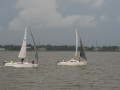 IMG 4919