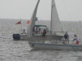 IMG 4931