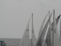 IMG 4939