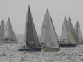 IMG 4955