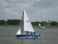 IMG 5534