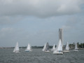 IMG 5554